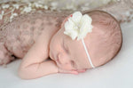 Newborn Headband, Your Choice of Color - LoliBean